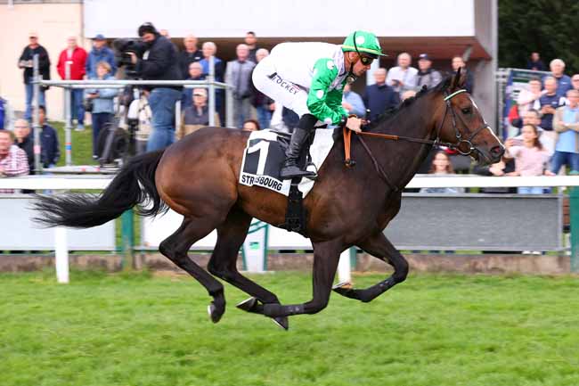 Photo d'arrivée de la course pmu PRIX DE LA VILLE DE STRASBOURG à STRASBOURG le Mercredi 28 mai 2025