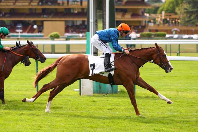 Photo d'arrivée de la course pmu PRIX DE MALMAISON à LONGCHAMP le Jeudi 29 mai 2025