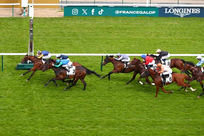 Photo d'arrivée de la course pmu PRIX DU JARDIN DE L'AVRE à LONGCHAMP le Jeudi 29 mai 2025