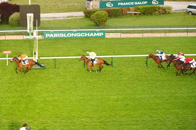 Photo d'arrivée de la course pmu PRIX DU MAIL à LONGCHAMP le Jeudi 29 mai 2025