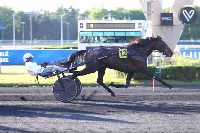 Arrivée quinté pmu PRIX PYTHIA à PARIS-VINCENNES
