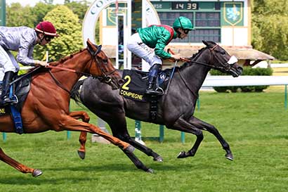 Photo d'arrivée de la course pmu PRIX DU PUITS D'ANTIN à COMPIEGNE le Vendredi 30 mai 2025