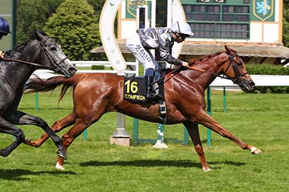Photo d'arrivée de la course pmu PRIX DE SAINT-JUST-EN-CHAUSSEE à COMPIEGNE le Vendredi 30 mai 2025