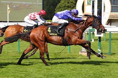 Photo d'arrivée de la course pmu PRIX DU THEATRE IMPERIAL à COMPIEGNE le Vendredi 30 mai 2025