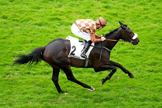 Photo d'arrivée de la course pmu PRIX STANLEY à AUTEUIL le Samedi 31 mai 2025