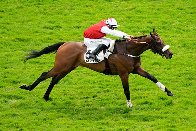 Photo d'arrivée de la course pmu PRIX LA PERICHOLE à AUTEUIL le Samedi 31 mai 2025