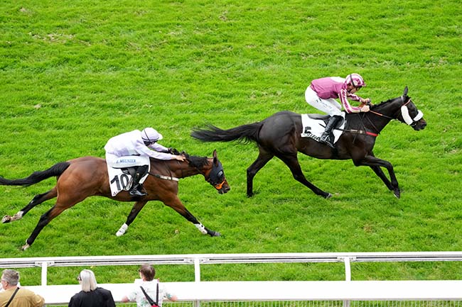 Photo d'arrivée de la course pmu PRIX LORETO à AUTEUIL le Samedi 31 mai 2025
