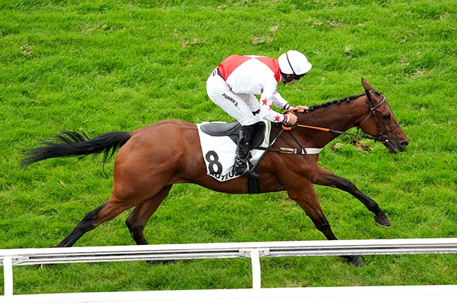 Photo d'arrivée de la course pmu PRIX BEAUMANOIR à AUTEUIL le Samedi 31 mai 2025