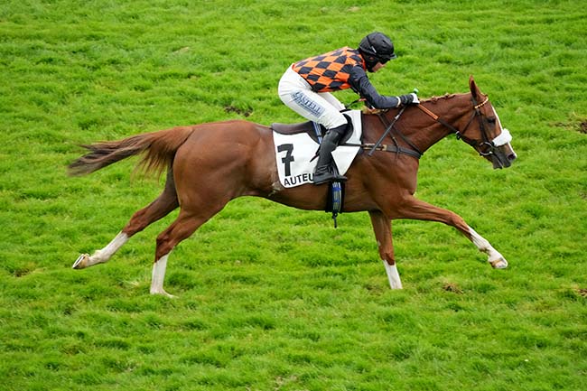 Photo d'arrivée de la course pmu PRIX DU NOUVEAU CERCLE DE L'UNION - PRIX JEAN VICTOR à AUTEUIL le Samedi 31 mai 2025
