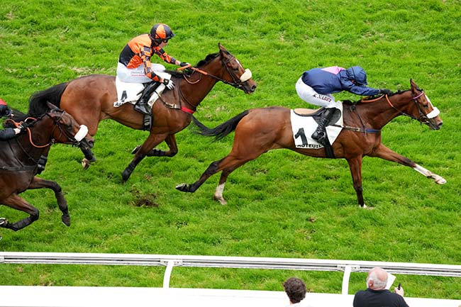 Photo d'arrivée de la course pmu PRIX QUESTARABAD à AUTEUIL le Samedi 31 mai 2025