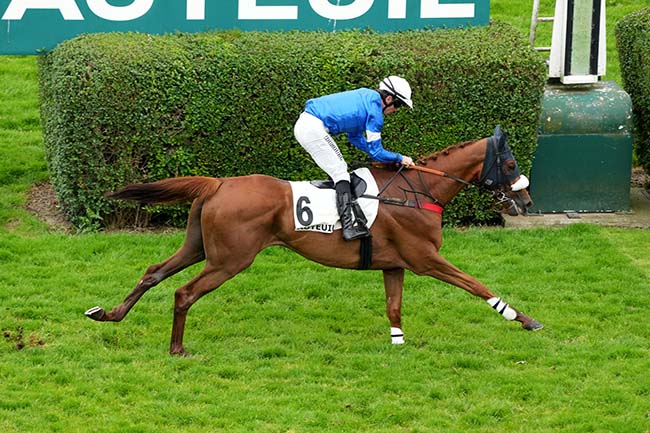 Photo d'arrivée de la course pmu PRIX DES DRAGS à AUTEUIL le Samedi 31 mai 2025