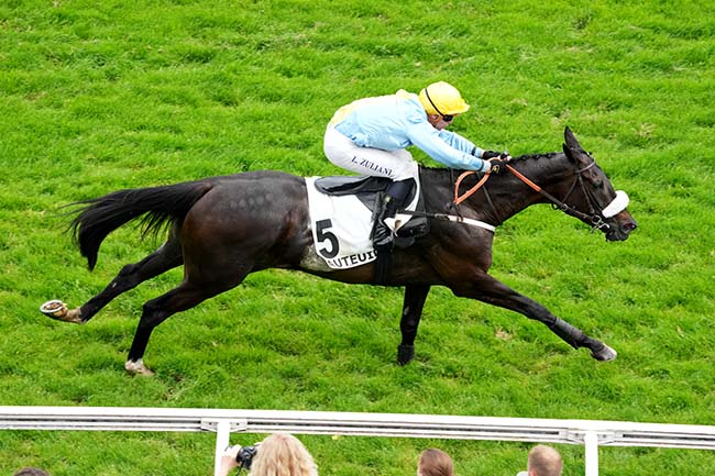 Arrivée quinté pmu PRIX HARDATIT à AUTEUIL