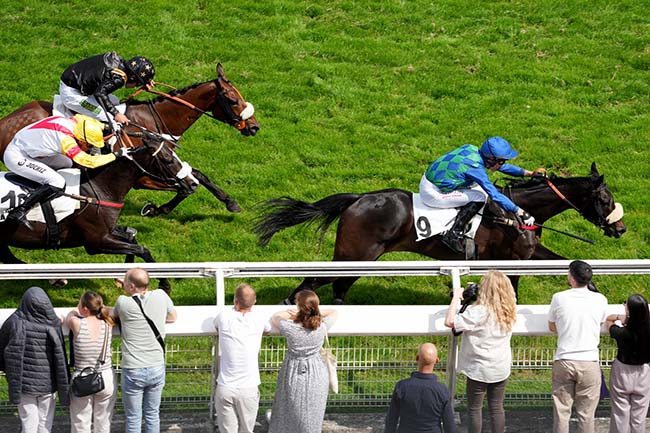 Photo d'arrivée de la course pmu PRIX HYPOTHESE à AUTEUIL le Samedi 31 mai 2025