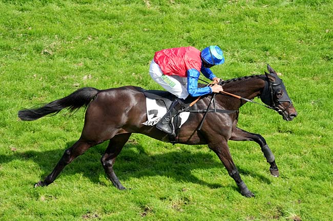 Photo d'arrivée de la course pmu PENFOLD PARK HANDICAP à SHA TIN (HONG KONG) le Samedi 31 mai 2025