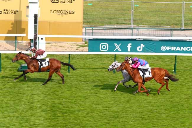 Photo d'arrivée de la course pmu PRIX DES PETITS CHAMPS à LONGCHAMP le Dimanche 8 juin 2025