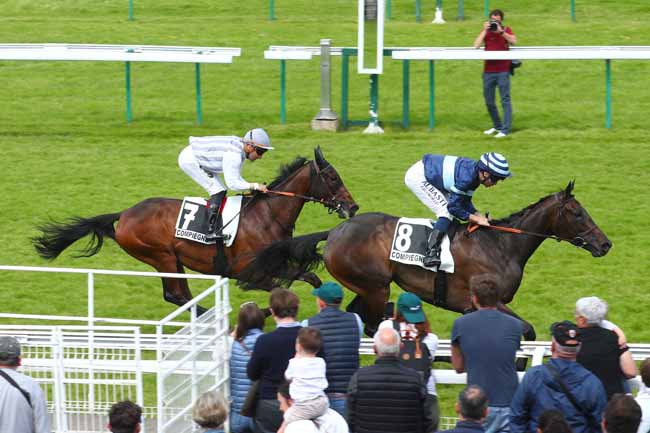 Photo d'arrivée de la course pmu PRIX DE LA CLAIRIERE DE L'ARMISTICE à COMPIEGNE le Lundi 9 juin 2025
