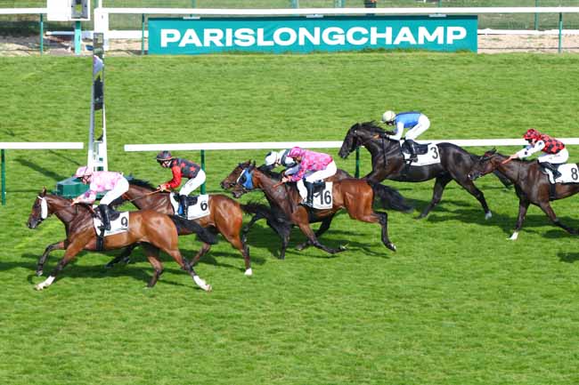 Photo d'arrivée de la course pmu PRIX DE L'ILE SAINT-LOUIS à LONGCHAMP le Jeudi 12 juin 2025