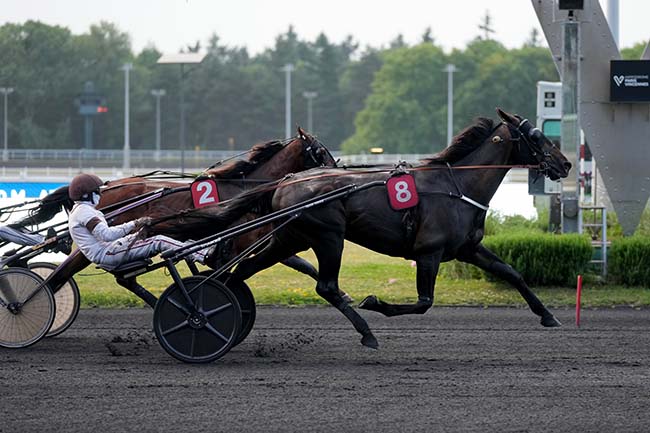 Photo d'arrivée de la course pmu PRIX SHANDRANI BEACHCOMBER (PRIX LOMIA) à PARIS-VINCENNES le Vendredi 13 juin 2025