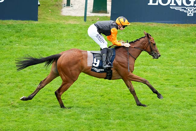 Photo d'arrivée de la course pmu PRIX DE LA REINE BLANCHE LONGINES PRESENTE PAR LES ECHOS WEEK-END à CHANTILLY le Dimanche 15 juin 2025