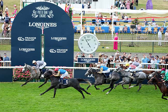 Photo d'arrivée de la course pmu QATAR DERBY DES PUR-SANG ARABES DE 4 ANS à CHANTILLY le Dimanche 15 juin 2025