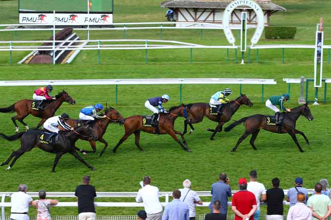 Photo d'arrivée de la course pmu PRIX DE PICARDIE à COMPIEGNE le Lundi 16 juin 2025