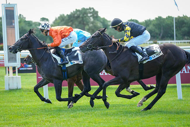 Photo d'arrivée de la course pmu PRIX DE LA SOCIETE DES COURSES DE BORDEAUX à LA TESTE DE BUCH le Lundi 16 juin 2025