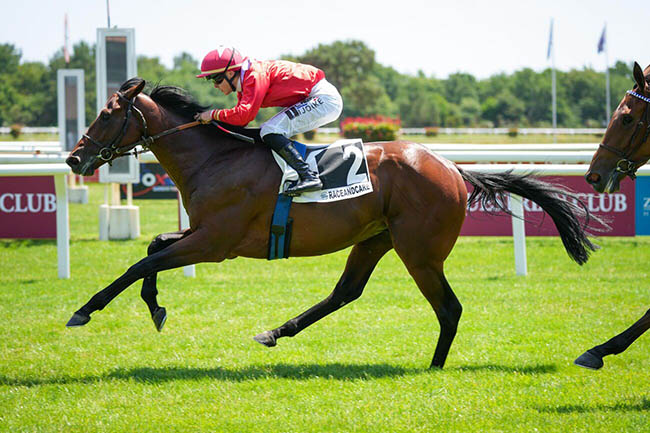 Photo d'arrivée de la course pmu PRIX RECONVERSION DES CHEVAUX DE COURSES à LA TESTE DE BUCH le Lundi 16 juin 2025