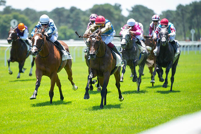 Photo d'arrivée de la course pmu PRIX DE LA SOCIETE DES COURSES DE TARBES à LA TESTE DE BUCH le Lundi 16 juin 2025