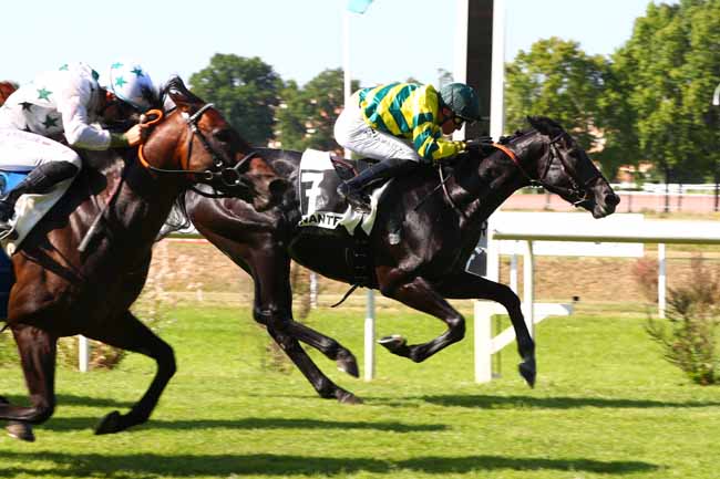Arrivée quinté pmu PRIX DE L'HIPPO'SHOW (PRIX DE LA GARDEN PARTY) à NANTES