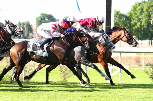 Photo d'arrivée de la course pmu PRIX BELLAMY à NANTES le Mardi 17 juin 2025