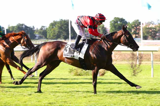 Photo d'arrivée de la course pmu PRIX DU PETIT PORT à NANTES le Mardi 17 juin 2025