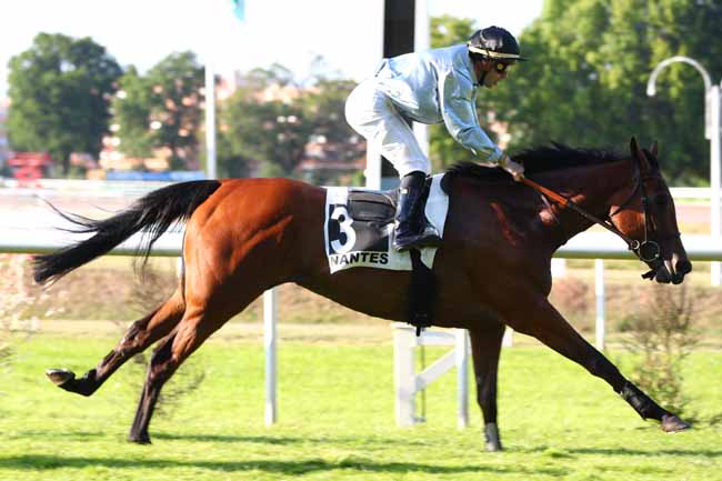Photo d'arrivée de la course pmu PRIX MARATHON à NANTES le Mardi 17 juin 2025