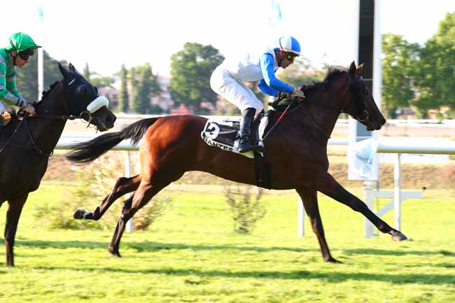 Photo d'arrivée de la course pmu PRIX ANAM CAPALL (PRIX D'ANCENIS) à NANTES le Mardi 17 juin 2025
