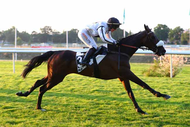 Photo d'arrivée de la course pmu PRIX BOULANGERIE FRANGEUL (PRIX DE COUFFE) à NANTES le Mardi 17 juin 2025