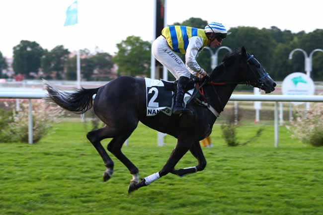 Photo d'arrivée de la course pmu PRIX SARAH GOSSE à NANTES le Mardi 17 juin 2025
