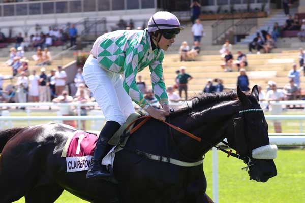 Photo d'arrivée de la course pmu PRIX RENE SEDILLIERE 20 ANS D'EXPO A CLAIREFONTAINE (PRIX DES HORTENSIAS) à CLAIREFONTAINE le Mardi 17 juin 2025