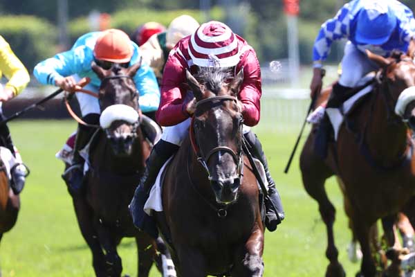 Photo d'arrivée de la course pmu PRIX LE BAR A CHAMPAGNE MUMM CORDON ROUGE (PRIX LES OUVRES) à CLAIREFONTAINE le Mardi 17 juin 2025