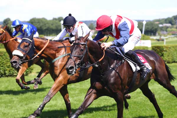 Photo d'arrivée de la course pmu PRIX LE BAR LES AMMOS DE CLAIREFONTAINE (PRIX JACQUES PEILLON) à CLAIREFONTAINE le Mardi 17 juin 2025