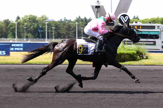 Photo d'arrivée de la course pmu PRIX SITA à PARIS-VINCENNES le Mardi 17 juin 2025