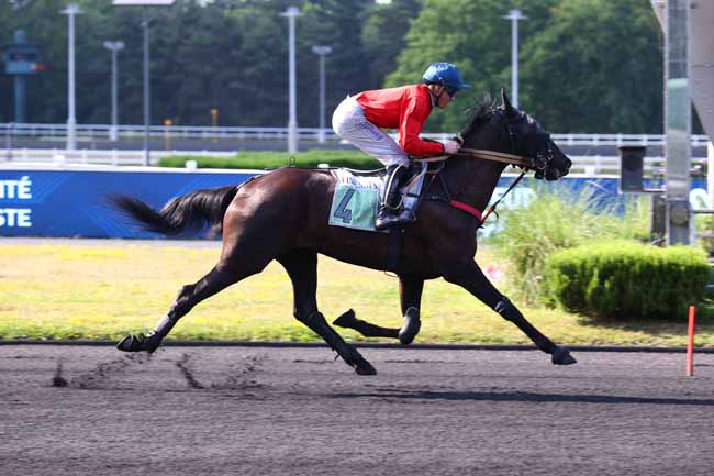 Photo d'arrivée de la course pmu PRIX CHALDAEA à PARIS-VINCENNES le Mardi 17 juin 2025