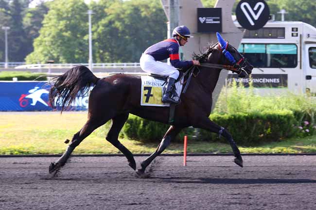 Photo d'arrivée de la course pmu PRIX HENRI DURAND à PARIS-VINCENNES le Mardi 17 juin 2025
