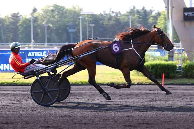 Photo d'arrivée de la course pmu PRIX EUNYKE à PARIS-VINCENNES le Mardi 17 juin 2025