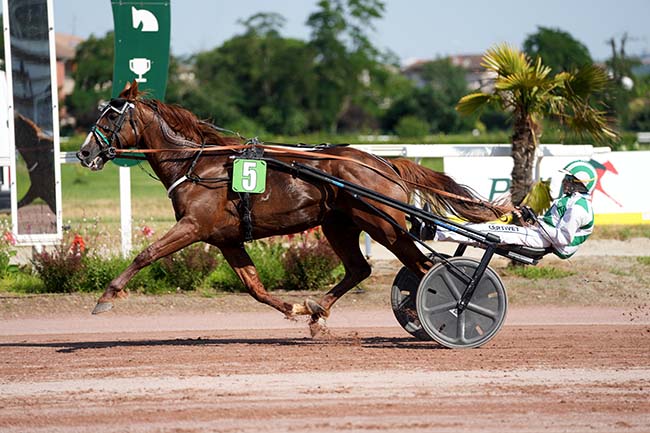 Photo d'arrivée de la course pmu PRIX DE L'HIPPODROME D'AGEN à TOULOUSE le Mercredi 18 juin 2025