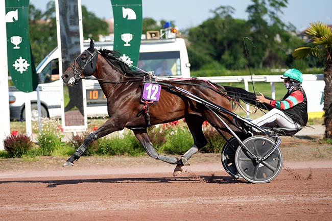Photo d'arrivée de la course pmu PRIX DU PMU CAFE SAINT-ROCH à TOULOUSE le Mercredi 18 juin 2025