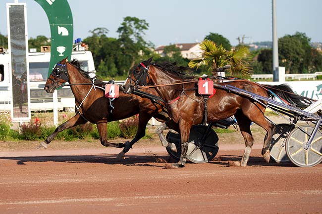 Photo d'arrivée de la course pmu PRIX DE L'HIPPODROME DE BEAUMONT-DE-LOMAGNE à TOULOUSE le Mercredi 18 juin 2025