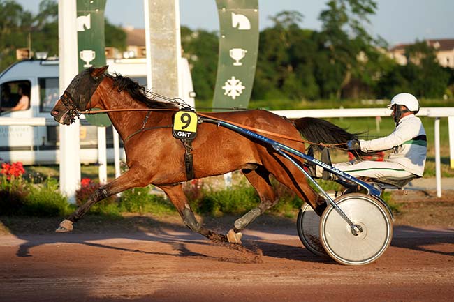 Photo d'arrivée de la course pmu GRAND NATIONAL DES AMATEURS à TOULOUSE le Mercredi 18 juin 2025