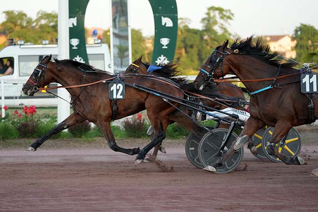 Photo d'arrivée de la course pmu PRIX DE L'HIPPODROME DE BORDEAUX à TOULOUSE le Mercredi 18 juin 2025
