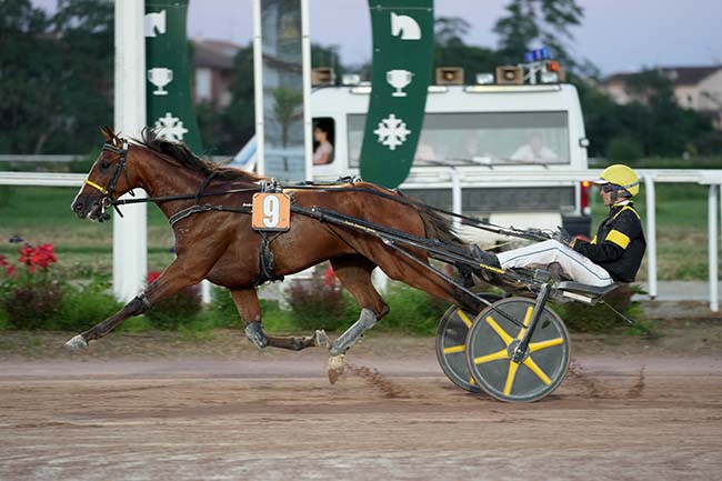 Photo d'arrivée de la course pmu PRIX 