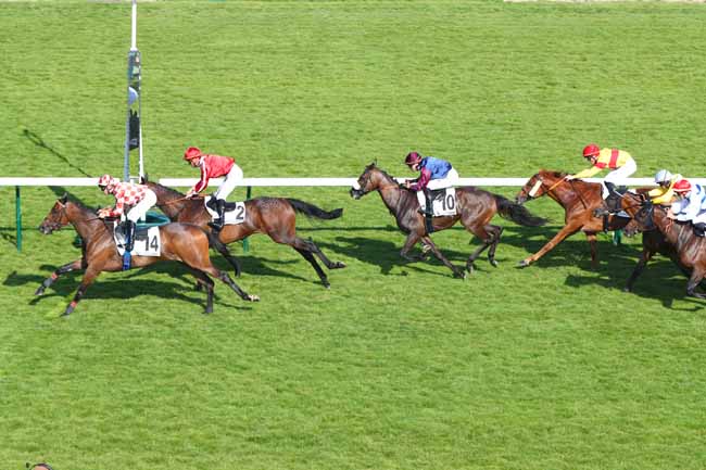 Photo d'arrivée de la course pmu PRIX DU PASSAGE BRADY à LONGCHAMP le Jeudi 19 juin 2025