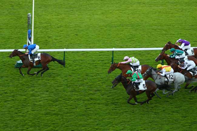 Arrivée quinté pmu PRIX DU NABOB à LONGCHAMP